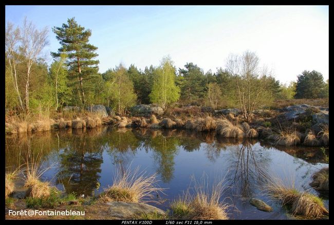 Paysages_platière4.jpg