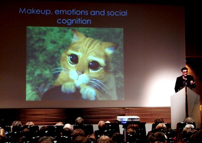 cats baby face analysis emotions
