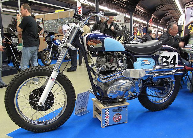 TRIBSA-solo-150-BIS.jpg