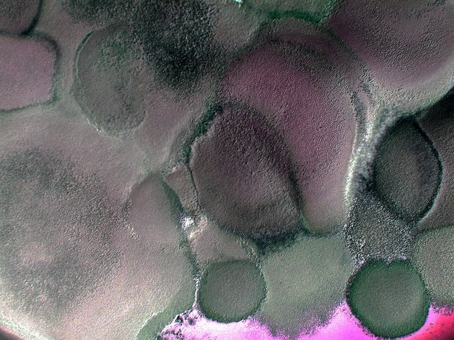 P1210473(2)