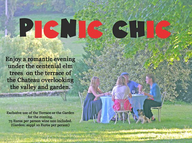 picnic-chic