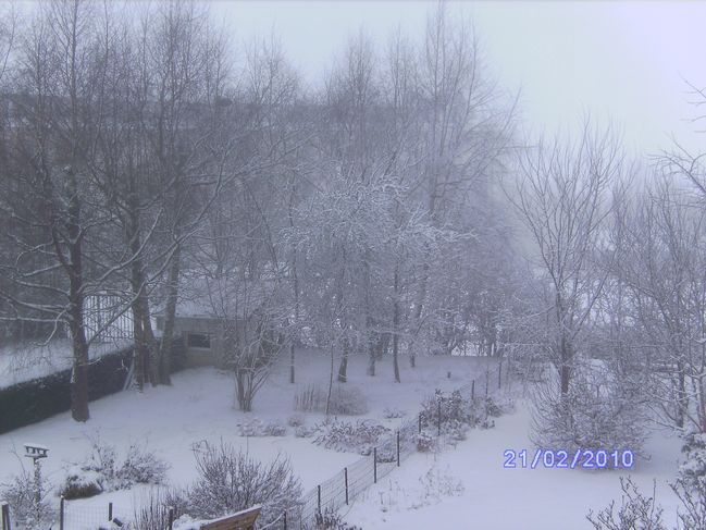 ann2010-1-069.jpg