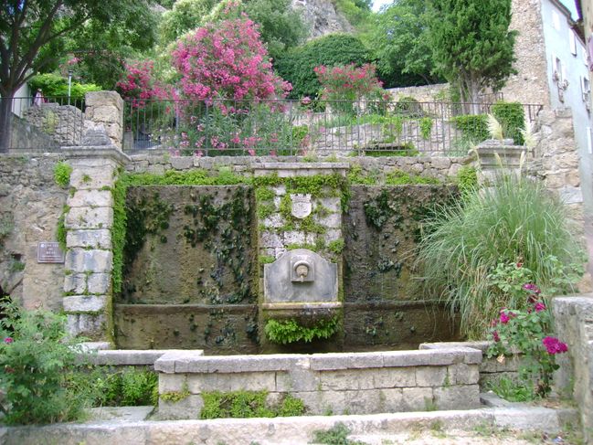 DSC04176