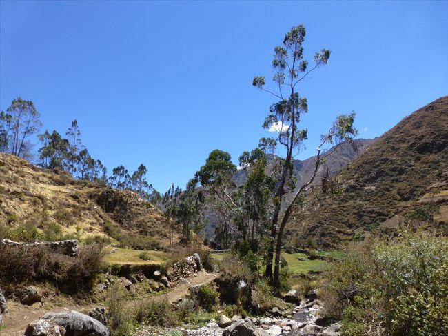 P1100358