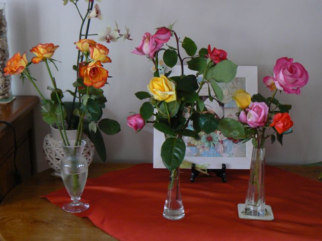 2014-MAI-29-roses-du-jardin-001.JPG