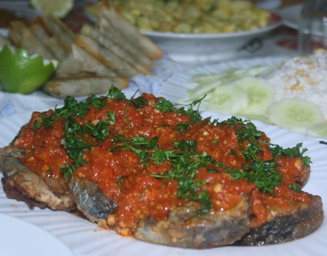 Bonite en sauce tomate