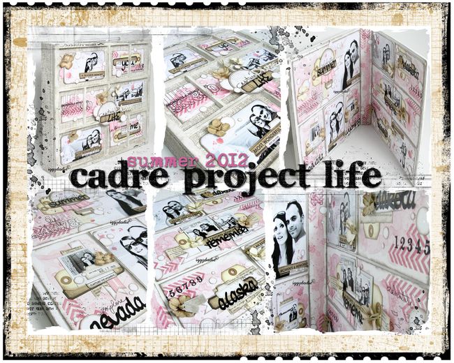 cadre-project-life.png