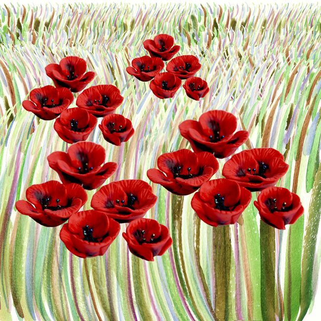 coqueLiCot Fimo.
