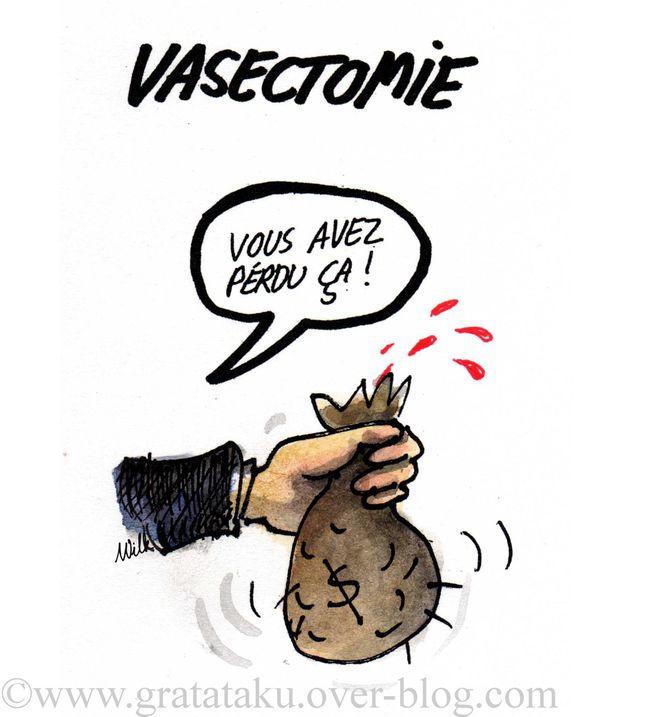 Blog--Vasectomie--illustre-par-Wilk.jpg