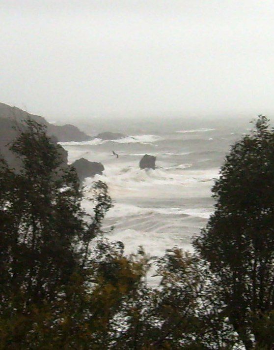 Copie-de-S7305332.JPG