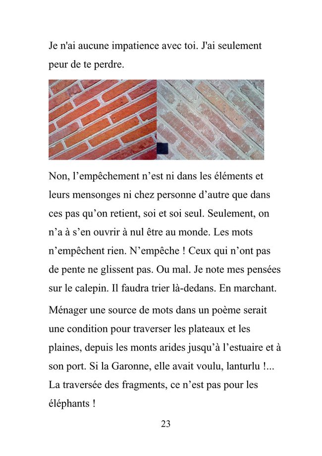 Sentier Jolimont- MU27 copie