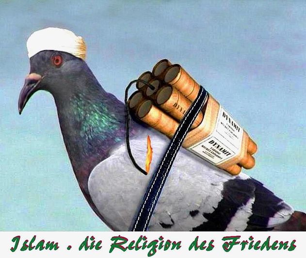 islam-die-religion-des-friedens.jpg
