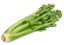 Celeri--1-.jpg