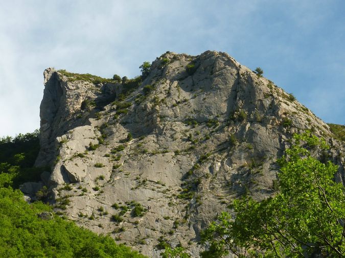 P1060381