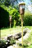 bambou ruisseau protege