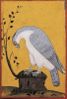 Cantique-des-oiseaux 4