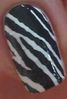 IMG01919-20110514-1150.jpg