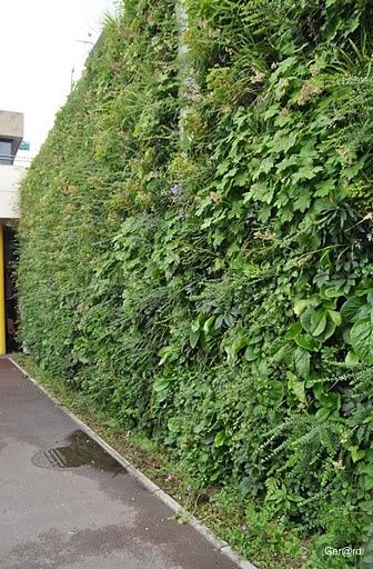 Mur-Vegetal---Cergy-05-c-Ger-rd--1600x1200-.jpg