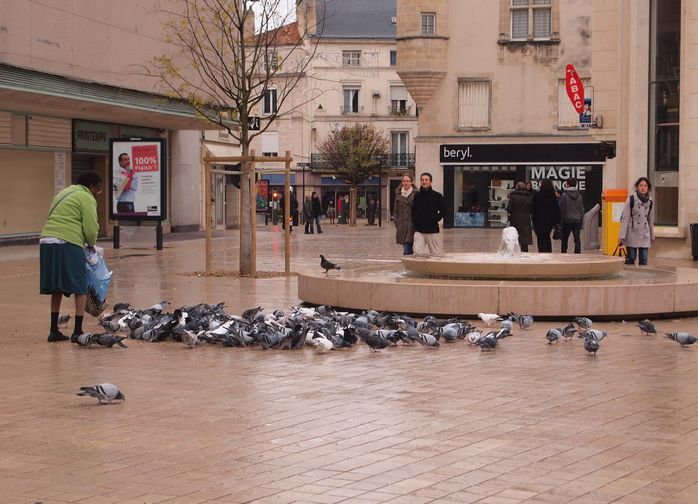 Rubrique nécrologie de Jean-Marie Sexfriend - Page 3 Dame-aux-pigeons-et-pigeons-Poitiers