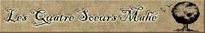 TITRE copie