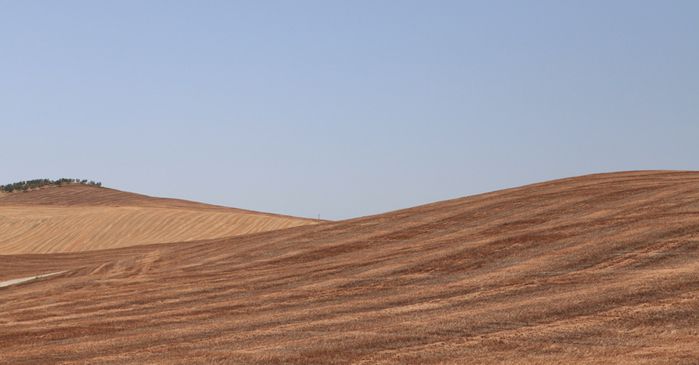 La Toscane1