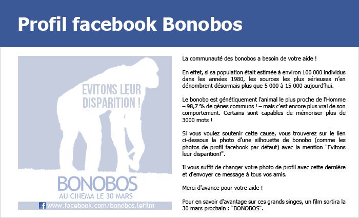 BONOBOS - visuel mur facebook