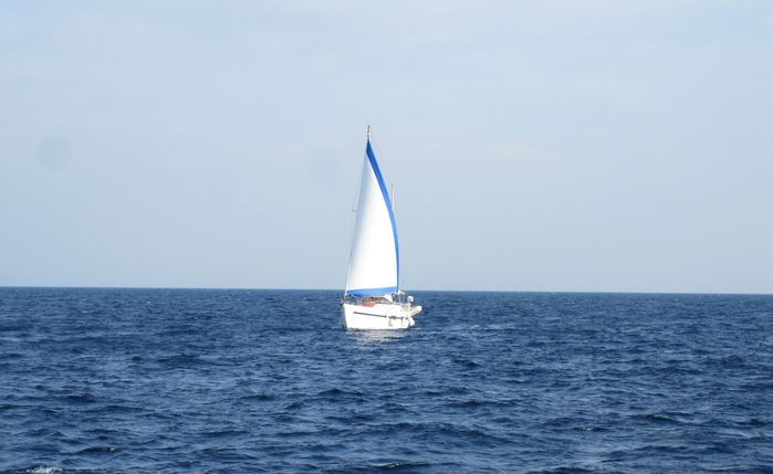 Navigation de Toussaint (741)