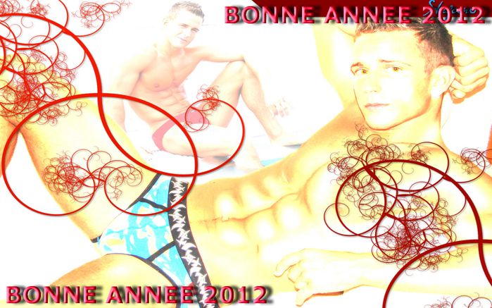 BONNE-ANNEE-2012.jpg