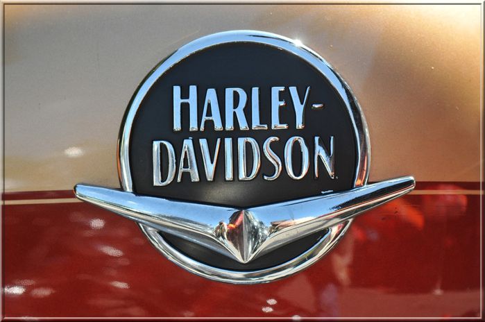 Harley 378