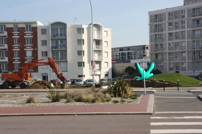 Havre mouettes (2)