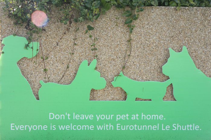 pancarte chiens