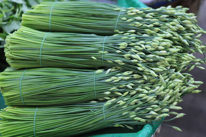 herbes aromatiques marché de Bangkok
