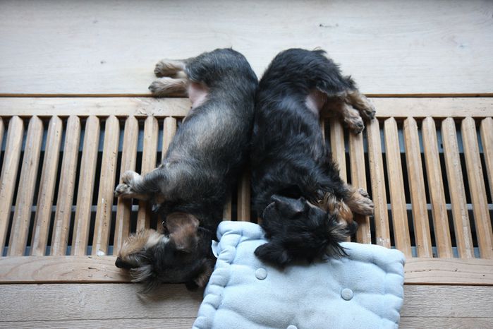 repos