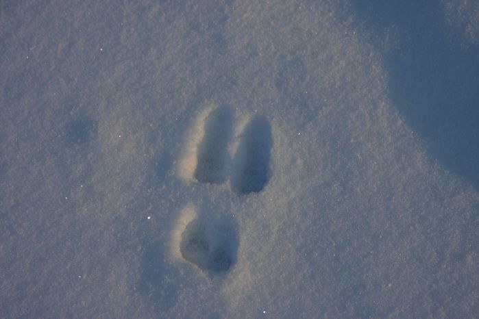 trace