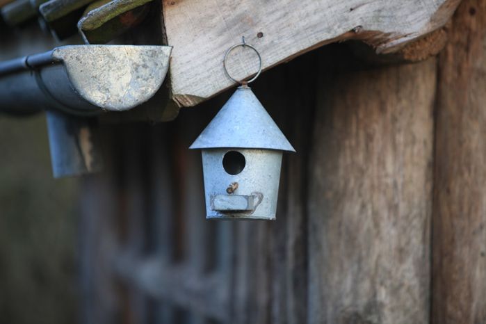 cabane d'oiseau en zinc
