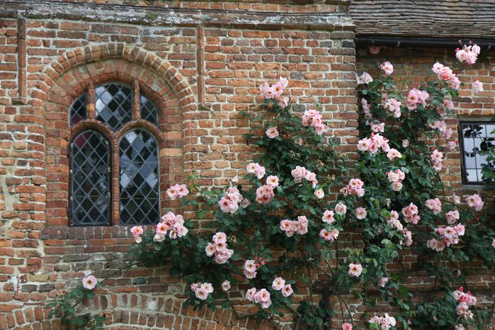 sissinghurst1.jpg