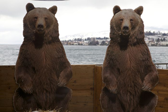 ours en carton