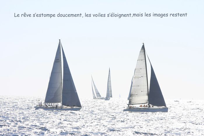 voile de st tropez Q