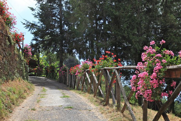chemin