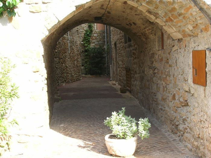 DSCN0207