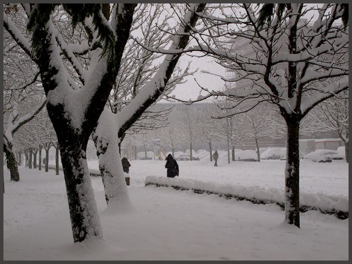 Cherbourg neige 2010 f