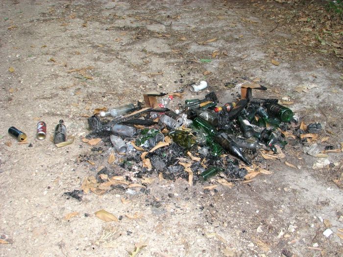 detritus 1