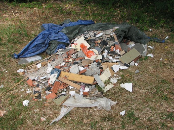detritus 2
