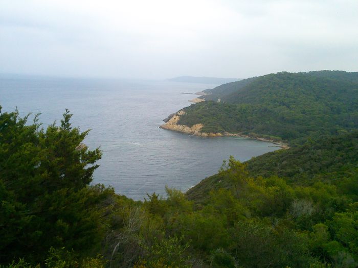 Photo0230