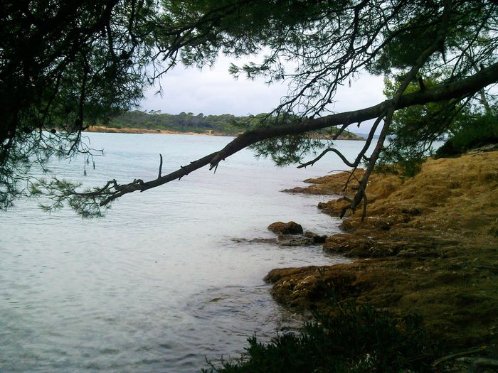 Photo0019