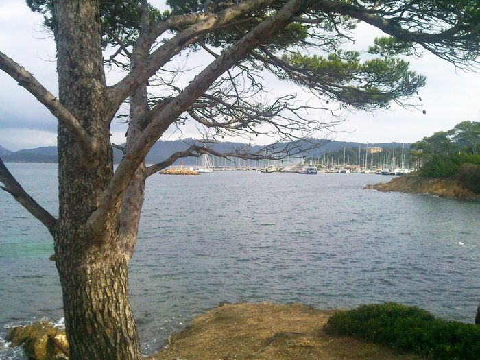 Photo0029