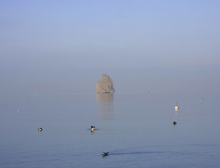 île de Peilz