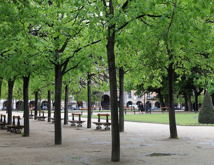 place des vosges7
