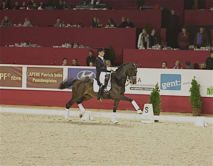 dressage1