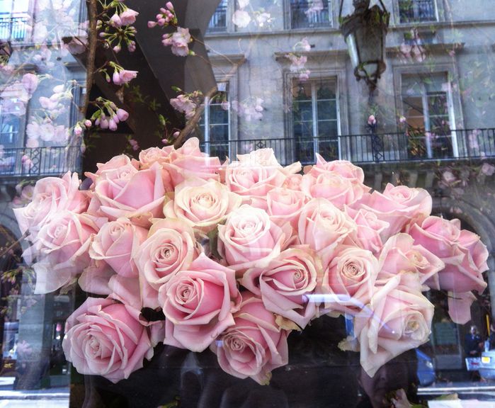 bouquet de roses